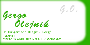 gergo olejnik business card